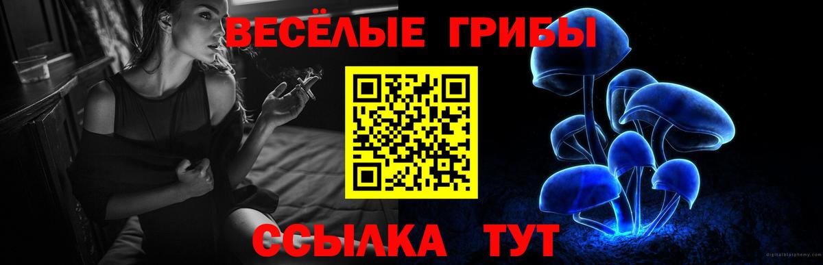 Заводоуковск  Галлюциногенные грибы мицелий  Вход с VPN  купить наркотик  Псилоцибиновые грибы мухоморы 